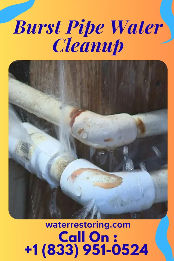 Burst Pipe Water Cleanup in New Windsor, MD